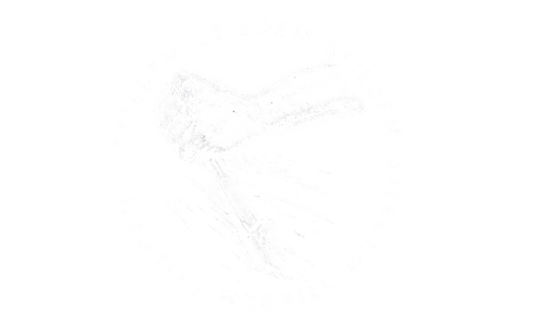 Logo Stiedm