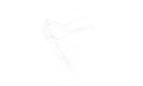 Logo Stiedm